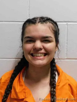 Booking photo from Henry County, Iowa