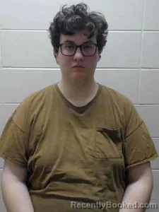 Mugshot of JULIEN V PLUM