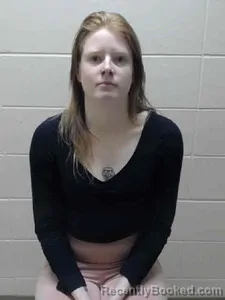 Mugshot of VIOLET M NELSON