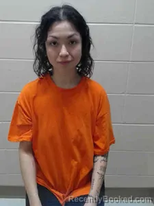 Mugshot of PEREZ A ALMANZA