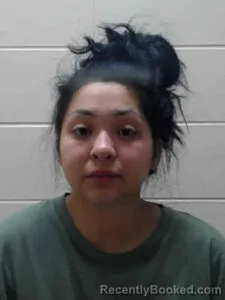 Mugshot of Cynthia Cruz booked in Ida County, Iowa on September 22, 2026