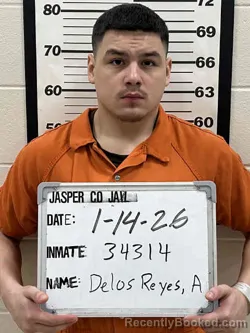 Mugshot of ALEJANDRO JAMES DELOS REYES