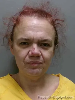 Mugshot of JOHNNETTE SUE WILLIAMS