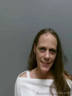 Mugshot of MICHELLE LYNNE KING booked in Lee County, Iowa on April 25, 2026