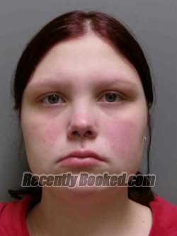 Booking photo from Lee County, Iowa