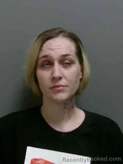 Mugshot of TAYLOR NAOMI FRAKES booked in Lee County, Iowa on April 16, 2026