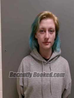 Booking photo from Lee County, Iowa