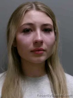 Booking photo from Lee County, Iowa