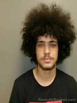 Mugshot of TURNER JOSEPH WELLMAN