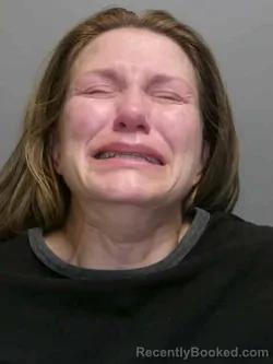 Mugshot of AIMEE SCHNEIDER booked in Lee County, Iowa on March 31, 2026