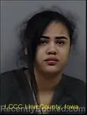 Booking photo from Linn County, Iowa