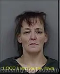 Mugshot of PATRICIA ANN FREDETTE