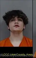 Booking photo from Linn County, Iowa