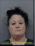 Mugshot of SHANNON JEAN BUTTERBAUGH