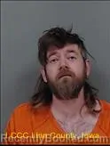 Mugshot of RYAN DANE WHILES