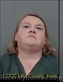 Mugshot of AMY RENEE FRANTZ