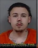 Mugshot of DANIEL ANTHONY FLORES