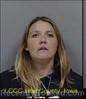 Mugshot of NIKIA JO LANFIER