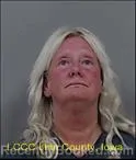Booking photo from Linn County, Iowa