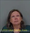 Mugshot of DENISE KAY PERKINS booked in Linn County, Iowa on July 14, 2026