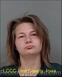 Mugshot of Chyenne Elizabeth Clark booked in Linn County, Iowa on September 21, 2026