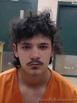 Mugshot of ANTHONY REYNE WETZEL booked in Louisa County, Iowa on April 10, 2026