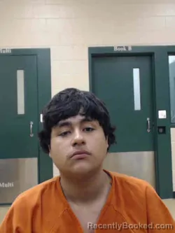 Mugshot of ROGELIO ALEXANDER RODRIGUEZ