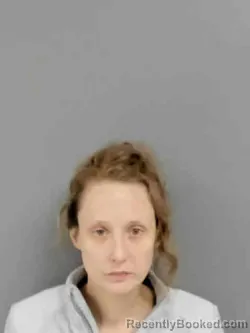 Mugshot of MEGAN KATHLEEN COMER