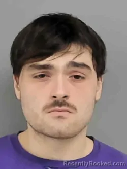 Mugshot of NATHANIAL MARTIN VAN VEEN booked in Marion County, Iowa on March 31, 2026