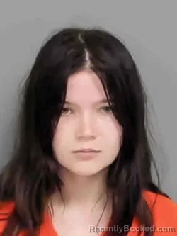 Mugshot of Katrina Joellen Marie Wallin booked in Marion County, Iowa on August 24, 2026