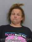 Mugshot of DANIELLE MARIE DAVIS