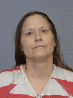 Booking photo from MIlls County, Iowa