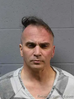 Mugshot of NATHAN FRANCIS STYLES