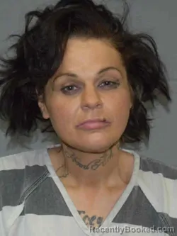 Mugshot of LINDSEY LORRAINE STORM