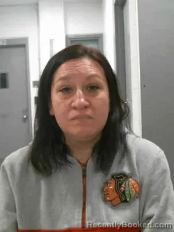 Mugshot of STACY REENAE DOWNING