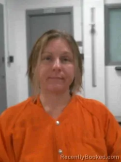 Mugshot of AMANDA LYNN FONNER