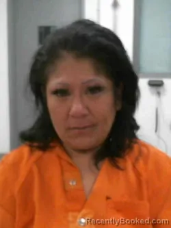 Mugshot of MARY ANN KRAJNIK