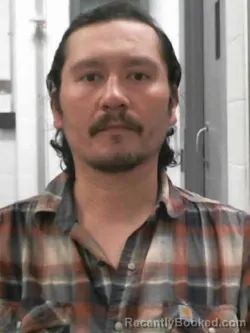 Mugshot of SERGIO ADRIAN LIENDO