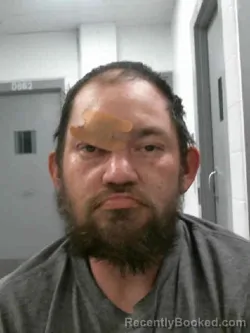 Mugshot of ROBERT JOHN YOUNG