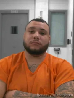 Mugshot of DESHAWN MICHAEL WILLIAMS