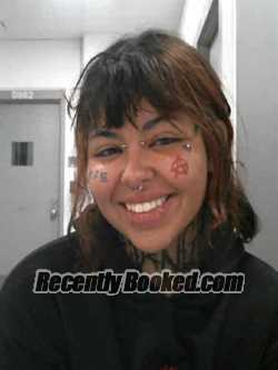 Mugshot of JULISSA JUDITH WILLIAMS