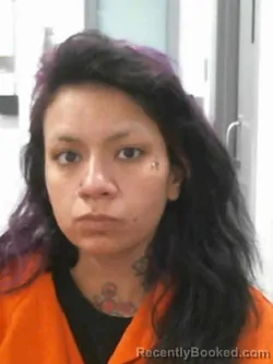 Mugshot of ANDREA MAE HUSTON