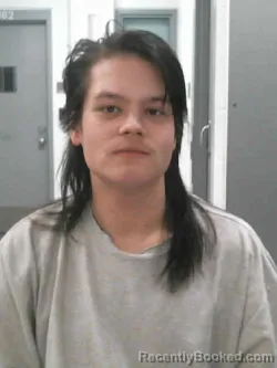 Mugshot of MASON ROBERT HILLERY