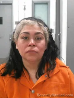 Mugshot of BRENDA OLIVIA RAMIREZ-MEZA