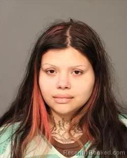 Mugshot of Alexandra Hilario booked in Polk County, Iowa on August 22, 2026