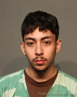 Mugshot of ALEXANDER LUNA SAAVEDRA