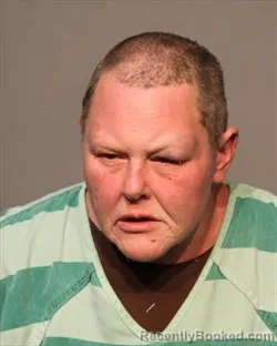 Booking photo from Polk County, Iowa