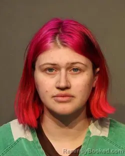 Booking photo from Polk County, Iowa