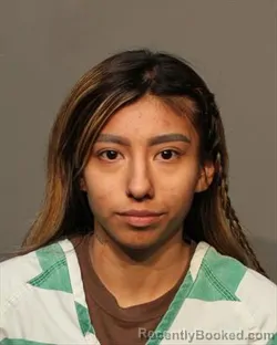 Mugshot of LORENA LORENZA JORGE
