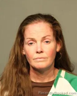 Mugshot of LISA NICOLE ANDERSON